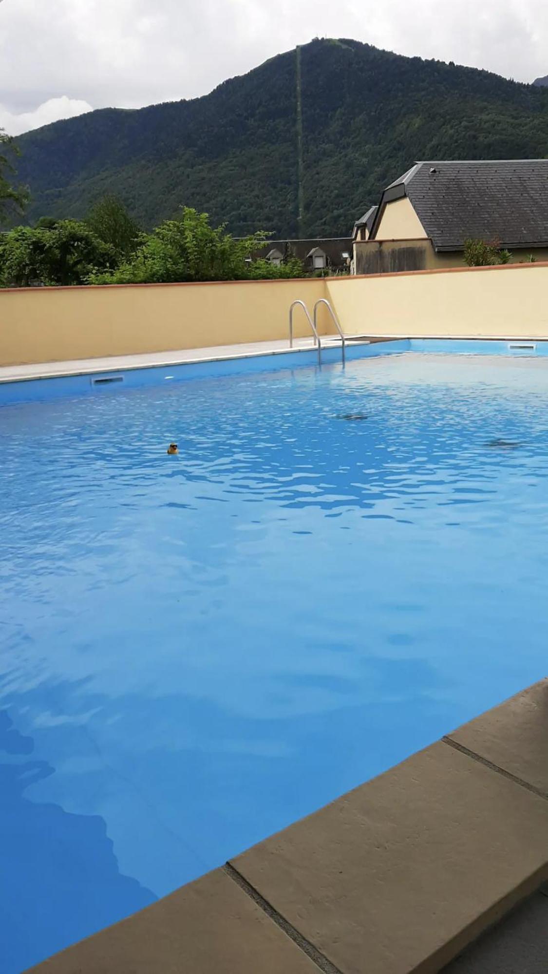 Appart T 3 Bagneres-De-Luchon Vue Montagne - Piscine Mi Juin Zewnętrze zdjęcie